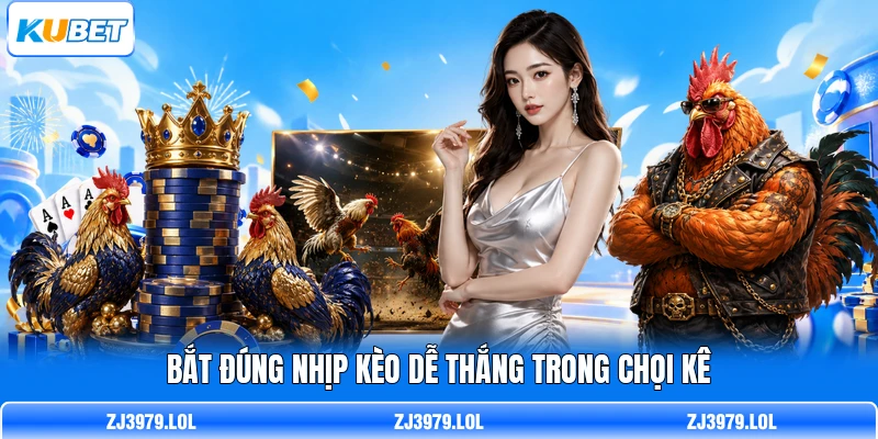Bắt đúng nhịp kèo dễ thắng trong chọi kê