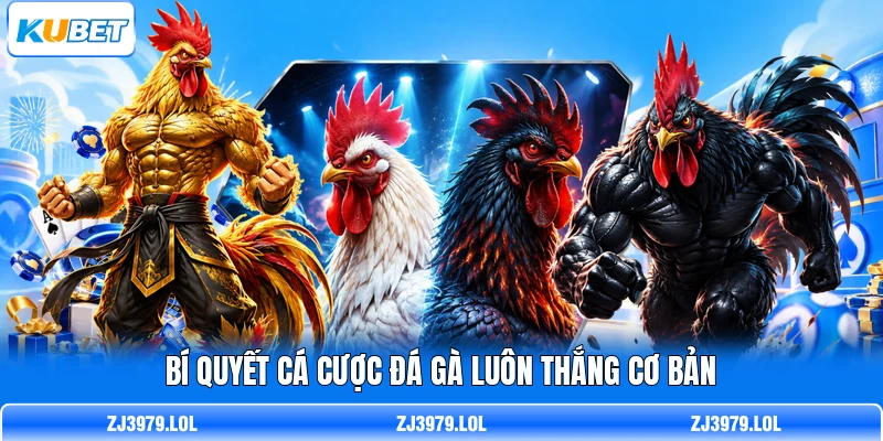 Bí quyết cá cược đá gà luôn thắng cơ bản