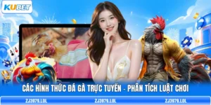 Các Hình Thức Đá Gà Trực Tuyến - Phân Tích Luật Chơi