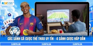 Các Sảnh Cá Cược Thể Thao Uy Tín - 4 Sảnh Cược Hấp Dẫn