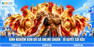 Kinh Nghiệm Xem Đá Gà Online Chuẩn - Bí Quyết Soi Kèo