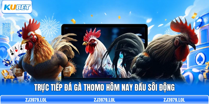 Trực tiếp đá gà Thomo hôm nay đầu sôi động