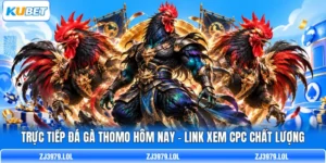 Trực Tiếp Đá Gà Thomo Hôm Nay - Link Xem CPC Chất Lượng