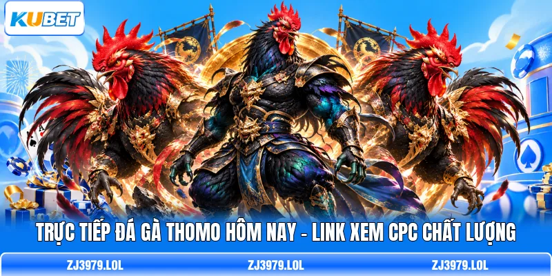 Trực Tiếp Đá Gà Thomo Hôm Nay - Link Xem CPC Chất Lượng